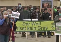 Weidetierhalter demonstrieren gegen den Wolf