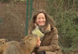 Neue Chefin im Frankfurter Zoo