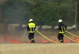 Feuerwehr trainiert Waldbrandbekämpfung