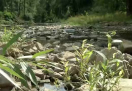 Kleine Flüsse leiden unter Trockenheit