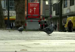 Streit um Genickbruch – Limburg will gegen Taubenplage vorgehen